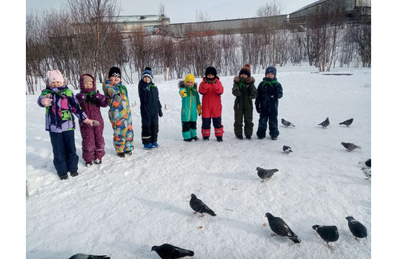 День дикой природы День дикой природы.
